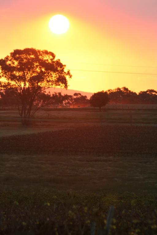 The Vineyard Motel Cowra Buitenkant foto