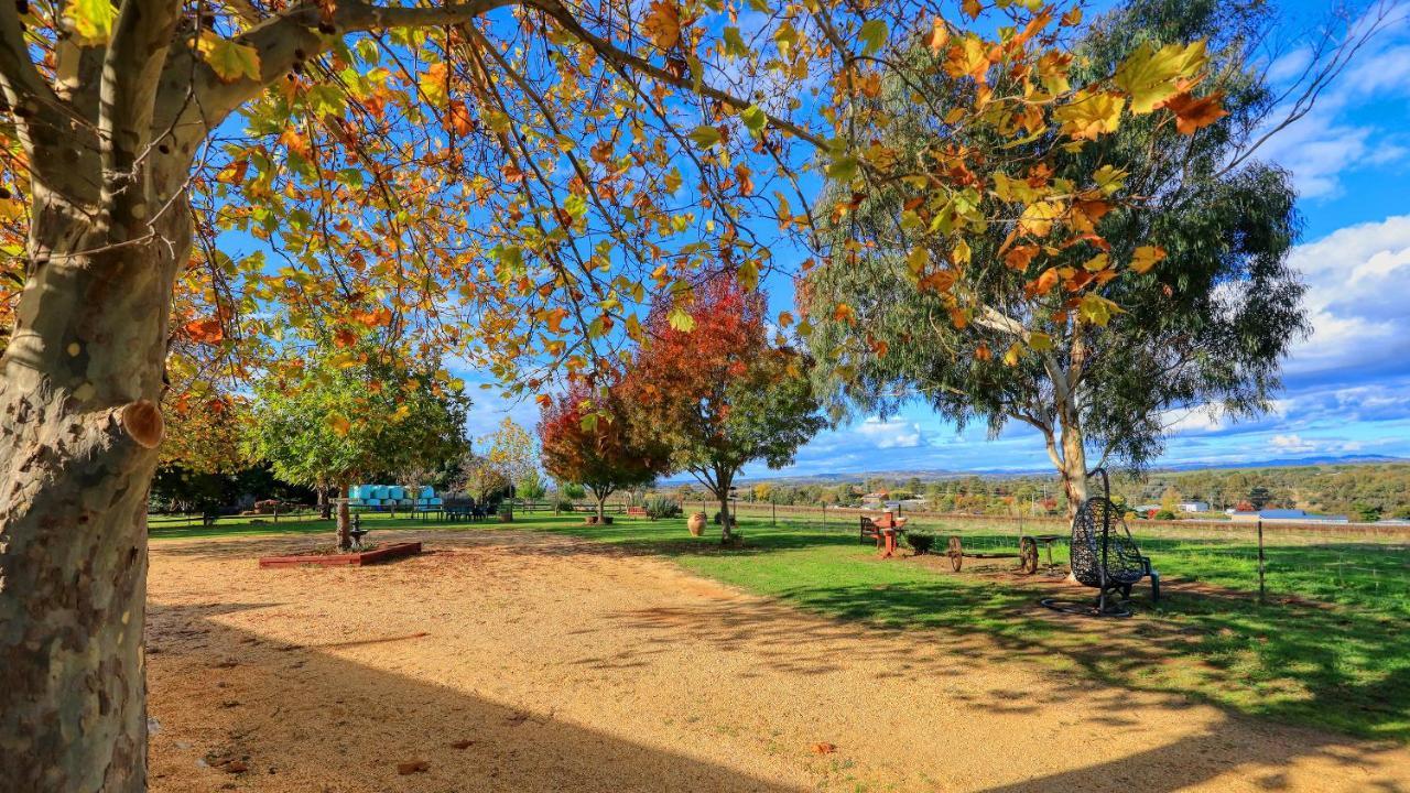 The Vineyard Motel Cowra Buitenkant foto