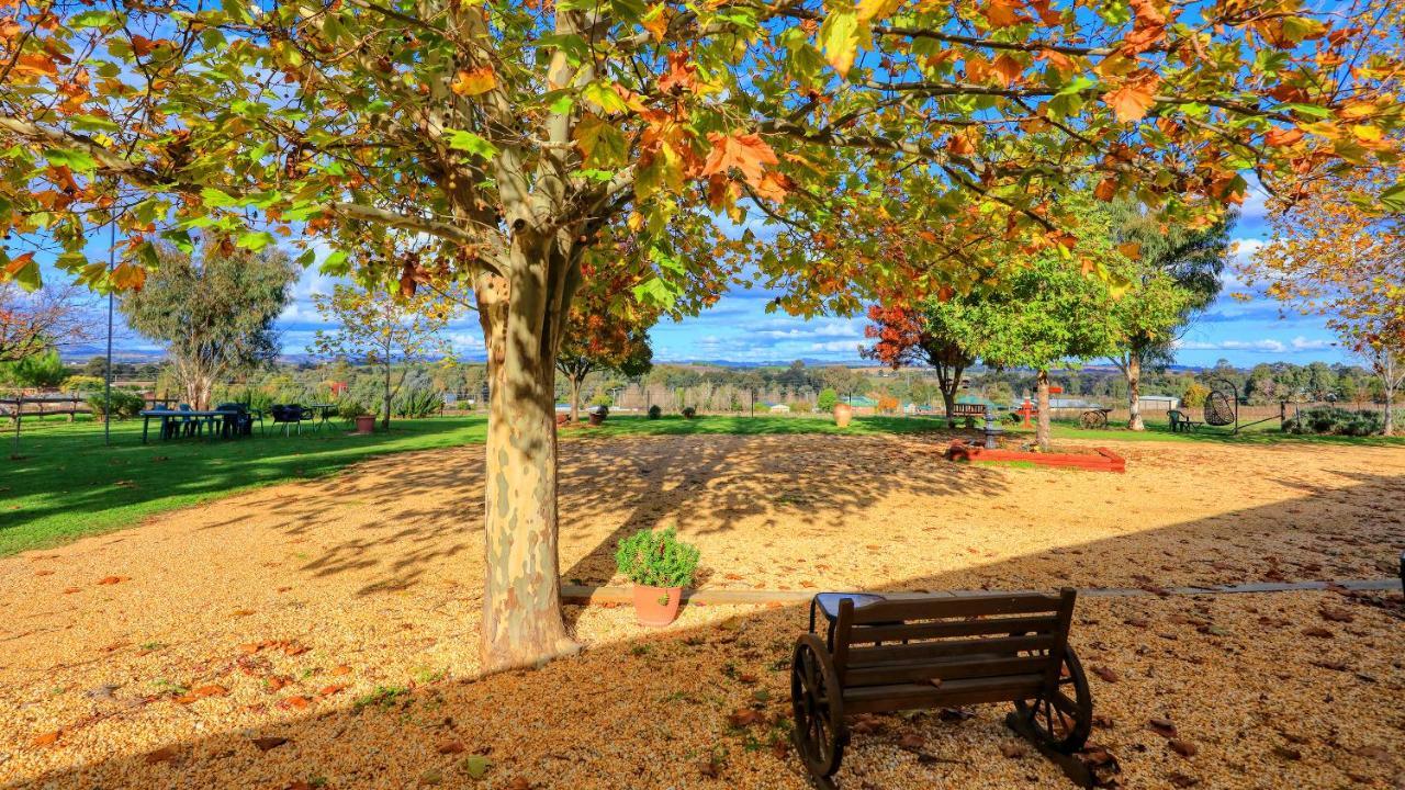 The Vineyard Motel Cowra Buitenkant foto