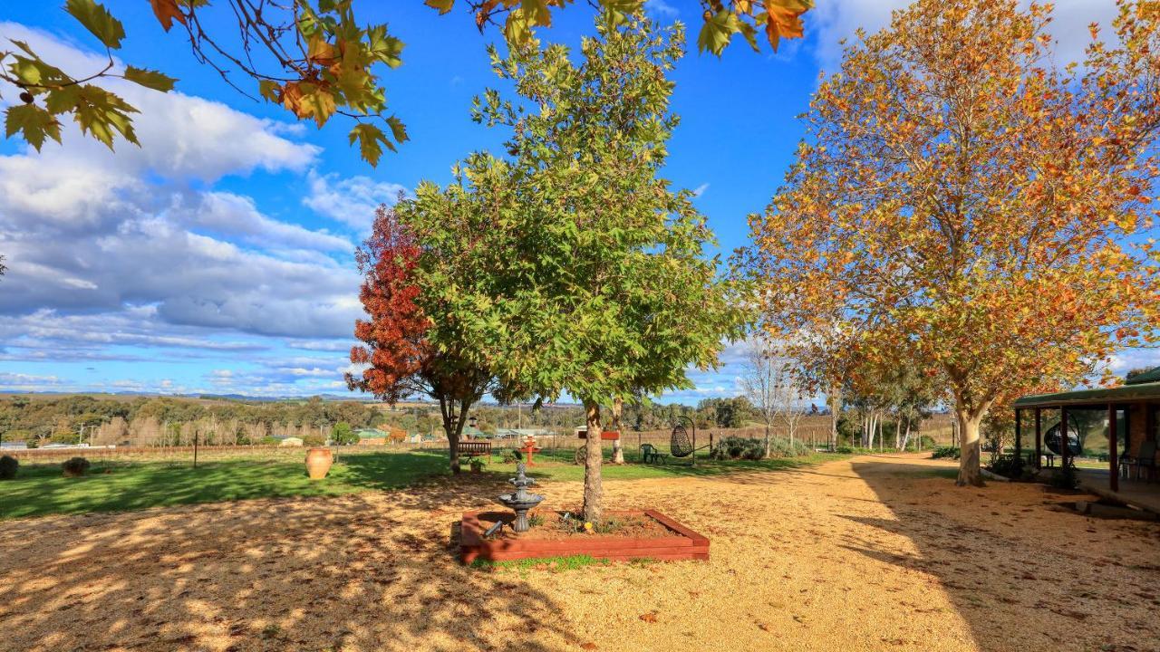 The Vineyard Motel Cowra Buitenkant foto