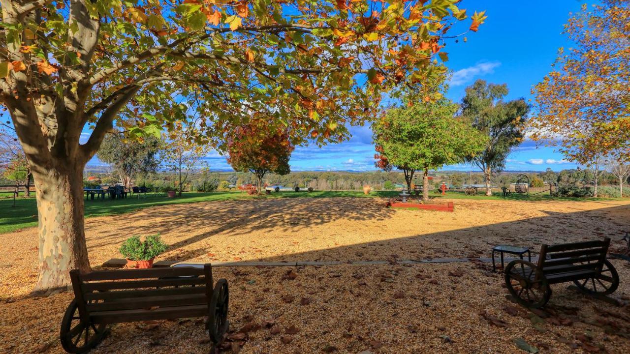The Vineyard Motel Cowra Buitenkant foto