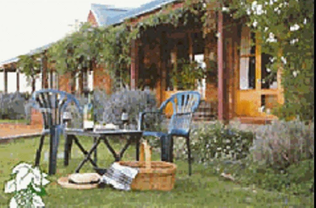 The Vineyard Motel Cowra Buitenkant foto